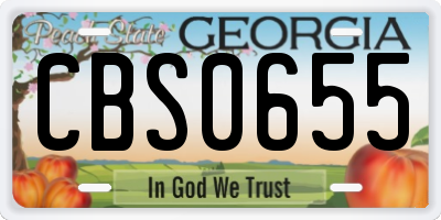 GA license plate CBS0655