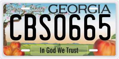 GA license plate CBS0665