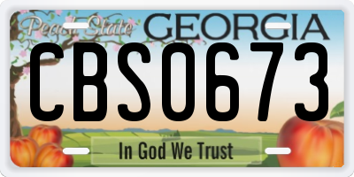 GA license plate CBS0673