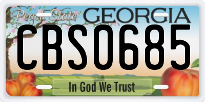 GA license plate CBS0685