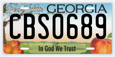 GA license plate CBS0689