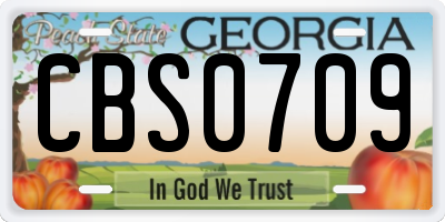 GA license plate CBS0709