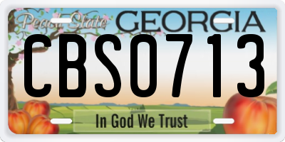 GA license plate CBS0713