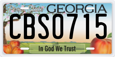 GA license plate CBS0715