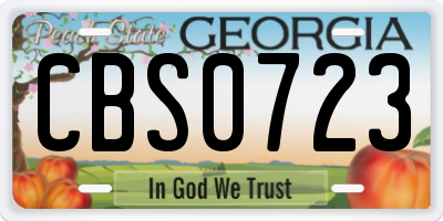 GA license plate CBS0723