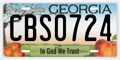 GA license plate CBS0724