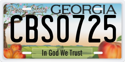GA license plate CBS0725