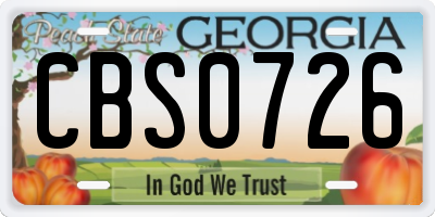 GA license plate CBS0726