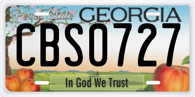 GA license plate CBS0727