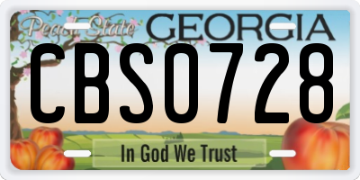 GA license plate CBS0728