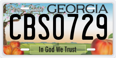 GA license plate CBS0729