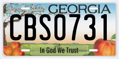 GA license plate CBS0731