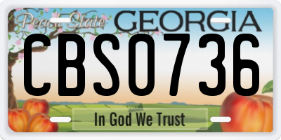 GA license plate CBS0736