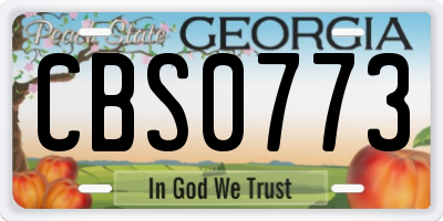 GA license plate CBS0773