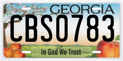 GA license plate CBS0783