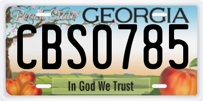GA license plate CBS0785