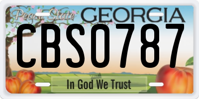 GA license plate CBS0787