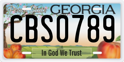 GA license plate CBS0789