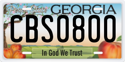 GA license plate CBS0800