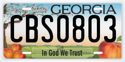 GA license plate CBS0803