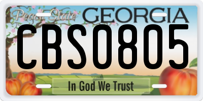 GA license plate CBS0805