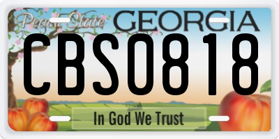 GA license plate CBS0818