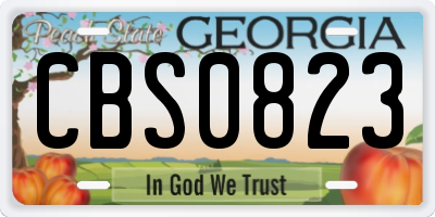 GA license plate CBS0823