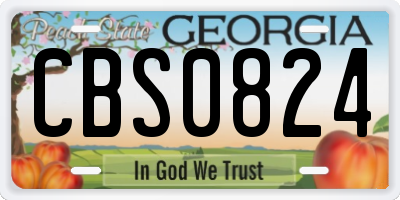GA license plate CBS0824