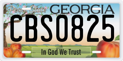 GA license plate CBS0825