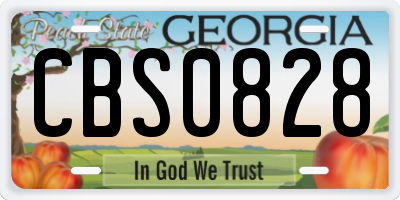 GA license plate CBS0828