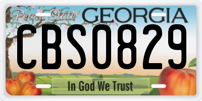 GA license plate CBS0829
