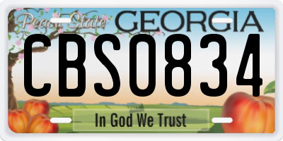 GA license plate CBS0834