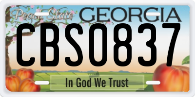 GA license plate CBS0837