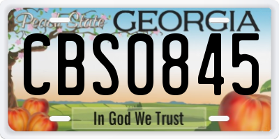 GA license plate CBS0845