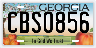 GA license plate CBS0856