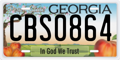GA license plate CBS0864
