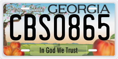 GA license plate CBS0865
