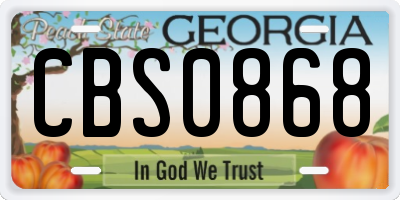 GA license plate CBS0868