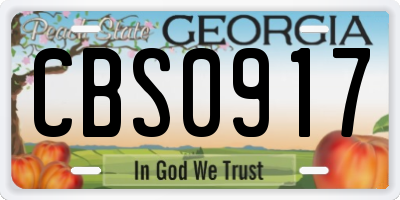 GA license plate CBS0917