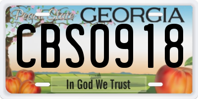 GA license plate CBS0918