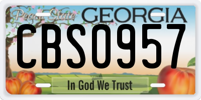 GA license plate CBS0957
