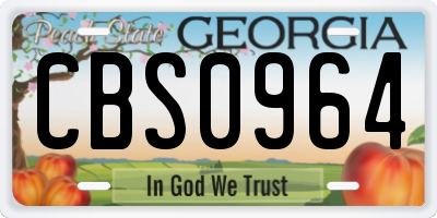 GA license plate CBS0964