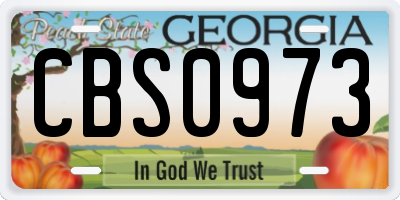 GA license plate CBS0973