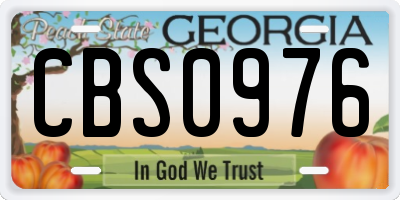 GA license plate CBS0976