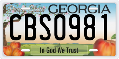 GA license plate CBS0981