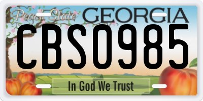GA license plate CBS0985