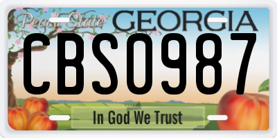 GA license plate CBS0987