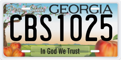 GA license plate CBS1025