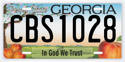 GA license plate CBS1028