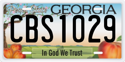 GA license plate CBS1029